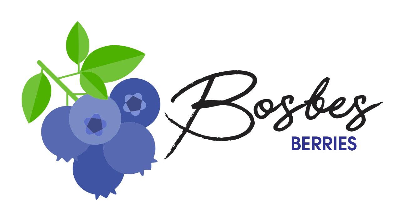Bosbes Berries